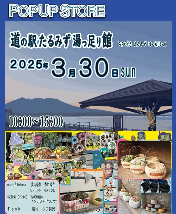 道の駅たるみず湯っ足り館がPopup Storeを開催、珍奇植物と多肉植物の販売イベントが温泉施設で実現