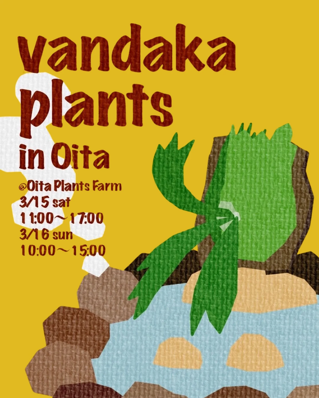 vandaka PlantsとOita Plants Farmが大分でビカクシダ販売イベントを開催、京都と東京の専門店が厳選商品を大分に