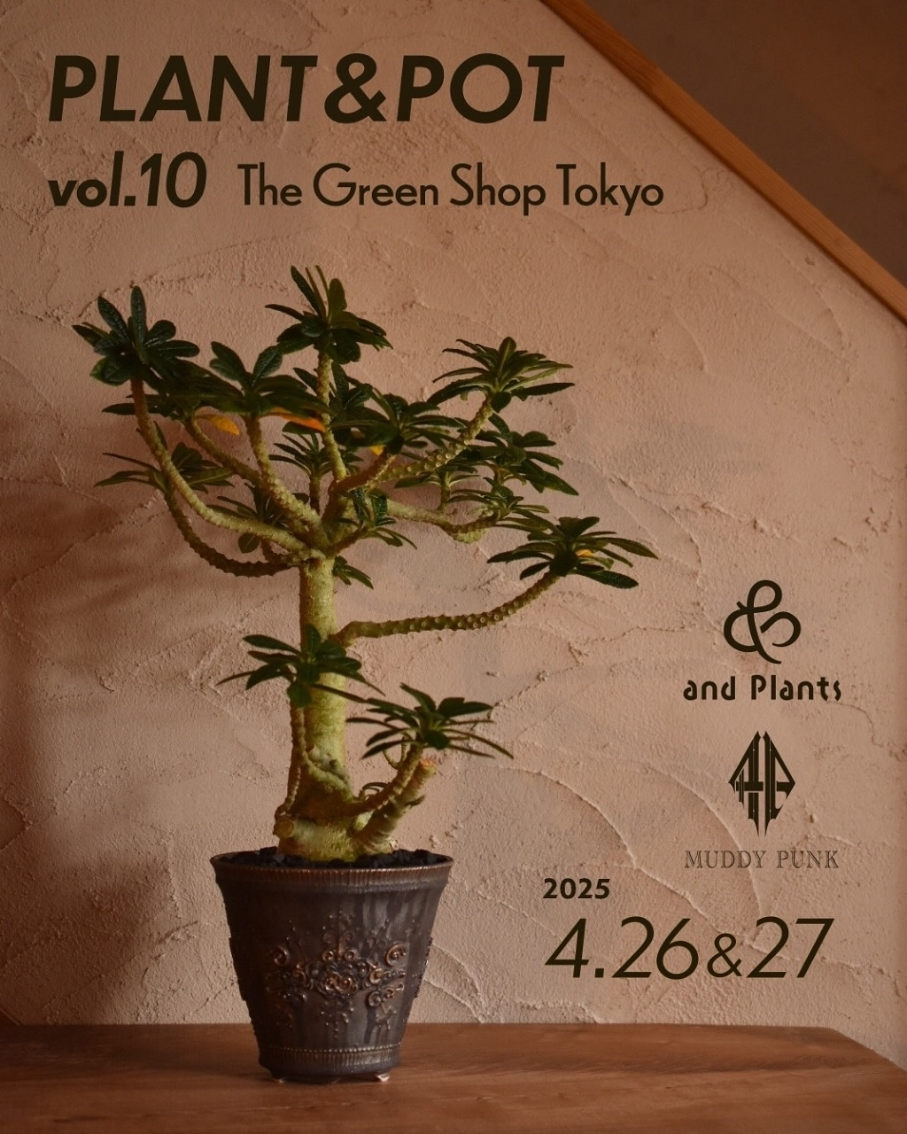 Plant & Pot vol.10が東京で開催、and PlantsとMichael Kelleyによる特別な植物と鉢の販売イベントが注目を集める