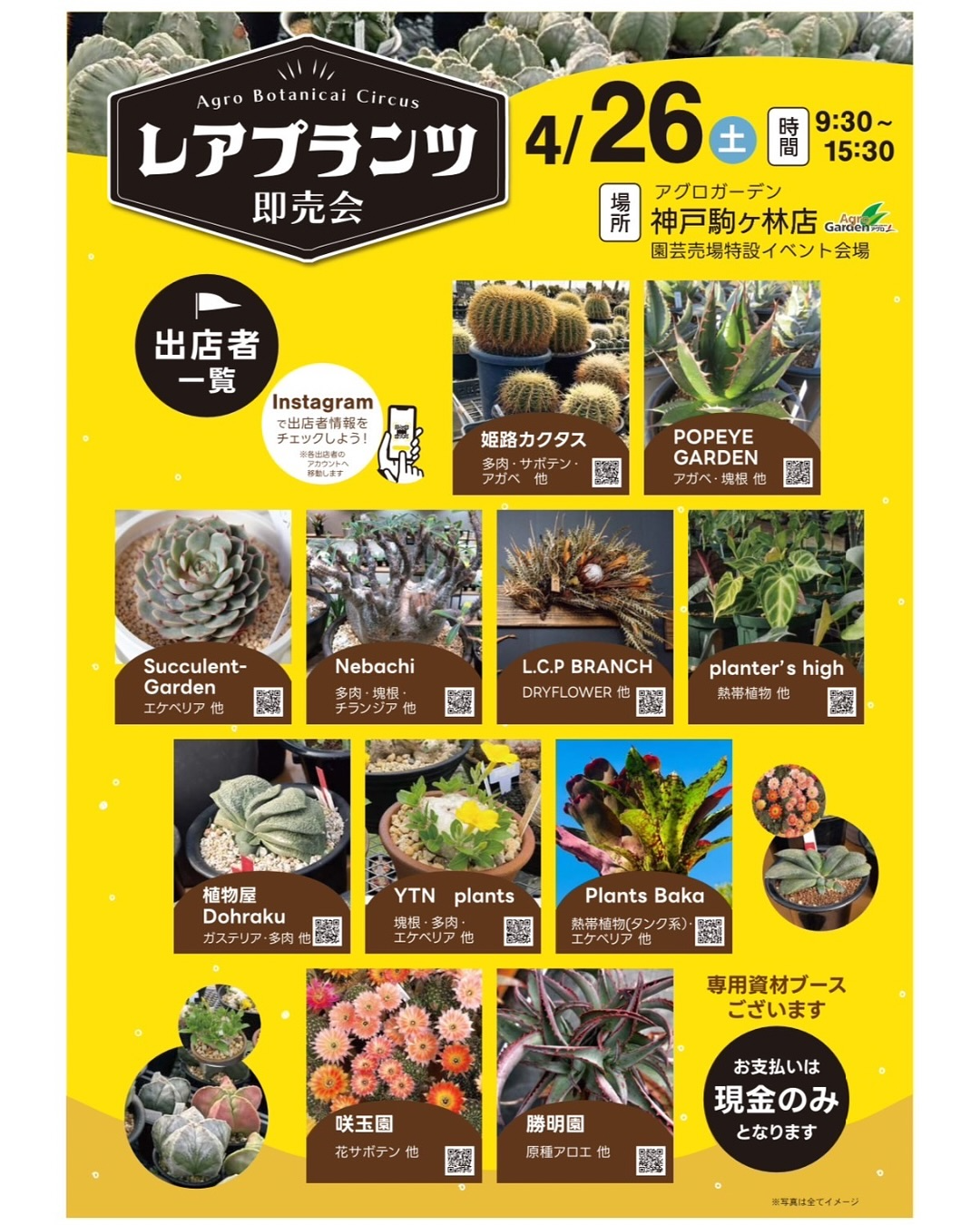 レア 希少 怪奇植物 スフラン ソフビアマプロ しょうの企画 庄野企画 レア 希少 怪奇植物 スフラン ソフビアマプロ しょうの企画 庄野企画