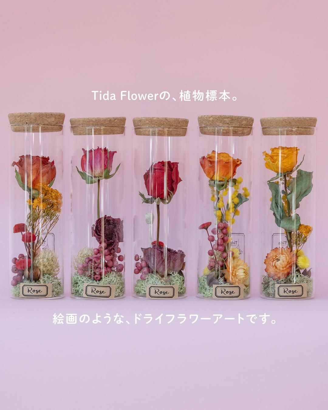 Tida Flower表参道店が植物標本を展開、日本橋三越本店でもPOPUPイベント開催中