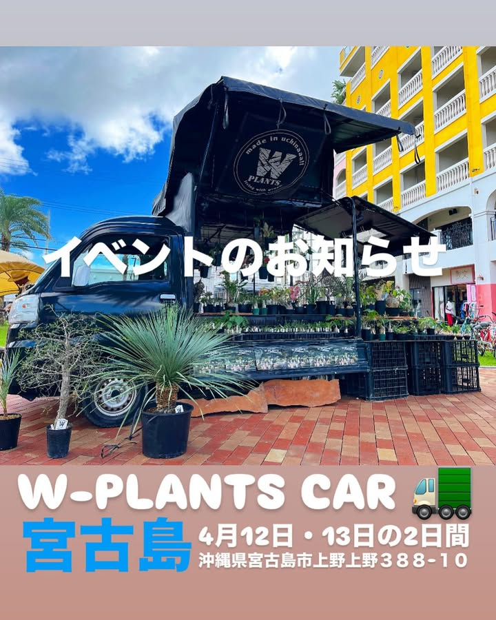 W-PLANTS CARがTORIKO FARM MIYAKOJIMAとコラボイベントを開催、世界中からセレクトした珍しい植物が宮古島に集結