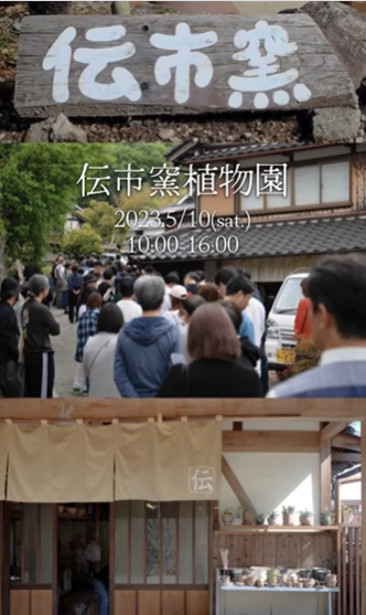 市野伝市窯が伝市窯植物園イベントを開催、アガベやビカクシダなど専門性の高い植物と伝統陶器が集結