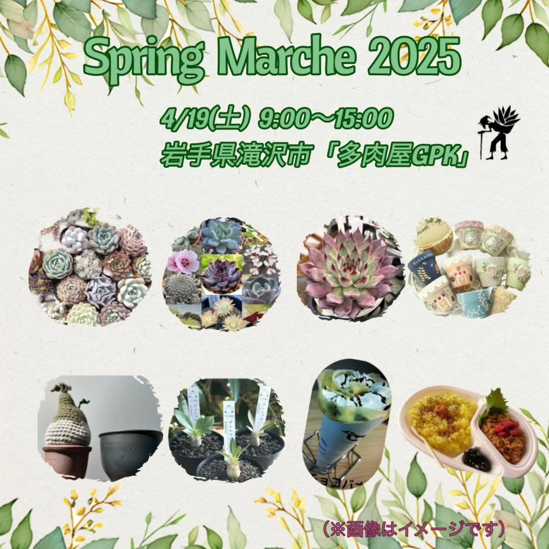 多肉屋GPKがSpring Marche 2025を開催、趣味家による希少な多肉植物が岩手県滝沢市に集結