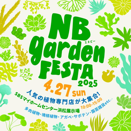 NBgarden Festa 2025が浜松で開催、50店舗以上の植物専門店が集結し多肉植物や塊根植物のレア品種を多数販売