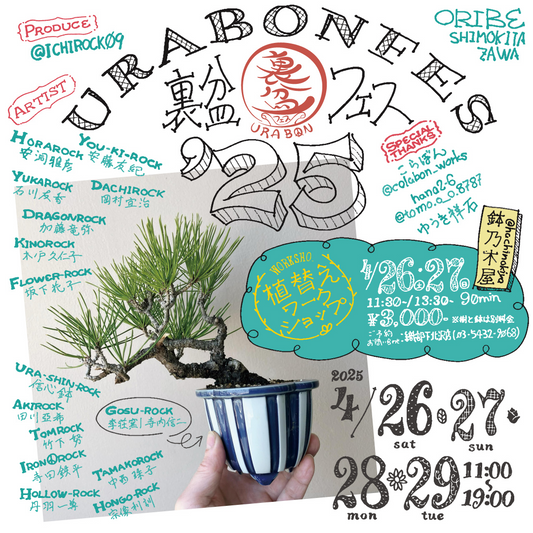 織部下北沢店が裏盆フェス2025を開催、伝統と革新が融合するミニ盆栽イベントが4日間に渡り展開