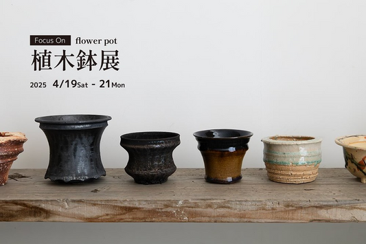 筒小屋が《 Focus On 》植木鉢展を開催、9名の作家による個性的な鉢と珍奇植物の出会いの場を提供