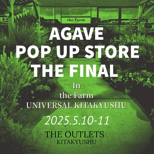 EARTHWALK PLANTSが閉店するthe Farm KITAKYUSHUでアガベの最終ポップアップイベントを開催、ファン必見の特別企画