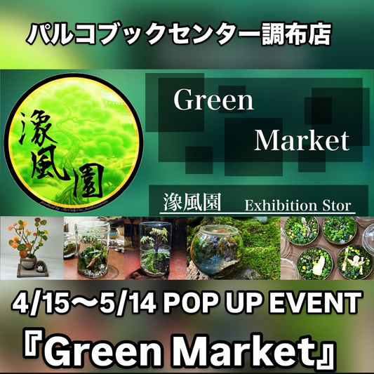 潒風園がGreen Marketを調布パルコで開催、苔玉やテラ盆栽などの植物と専門書を組み合わせた新しい販売体験を提供