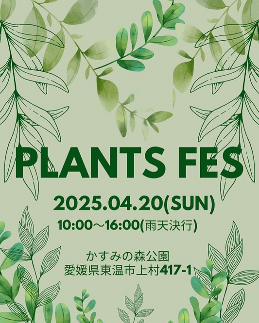 愛媛県初のオールジャンル植物イベント「PLANTS FES」が開催、多彩な体験とフードブースも充実