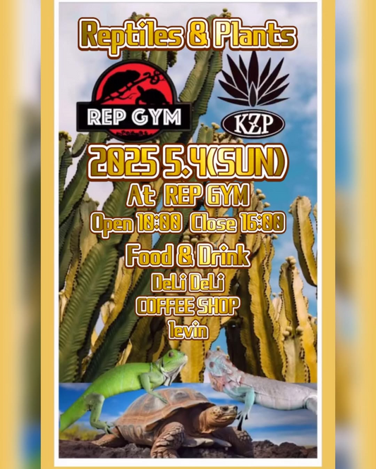 REP GYMが爬虫類と植物の複合イベントを開催、三重県伊賀市で子供向け体験型プログラムを展開