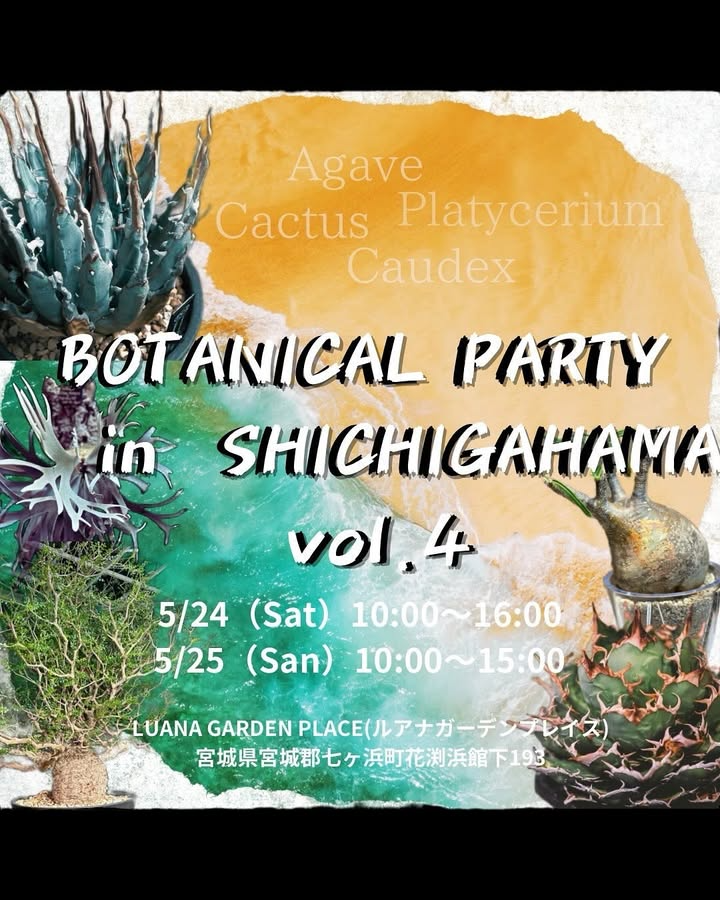 BOTANICAL PARTY in SHICHIGAHAMA vol.4が七ヶ浜で開催、コーデックスやアガベなど希少植物の販売イベントに8店舗が集結
