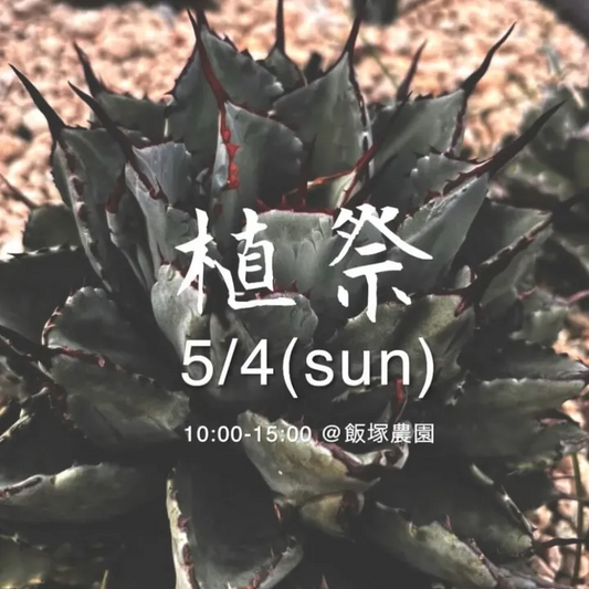 飯塚農園が植祭vol.7を開催、島根県出雲市で多肉植物の販売イベントが5月に実施