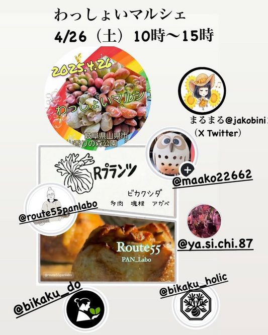 わっしょいマルシェがビカクシダ販売イベントを開催、板付け体験も楽しめる植物イベントが岐阜で実施