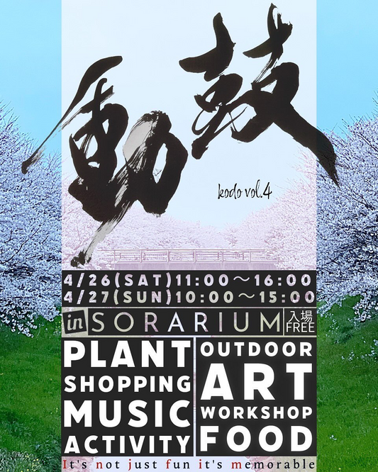 KOBE AGAVE SHOPが島根県初出店、鼓動-kodo-vol.4で植物とカルチャーの祭典開催