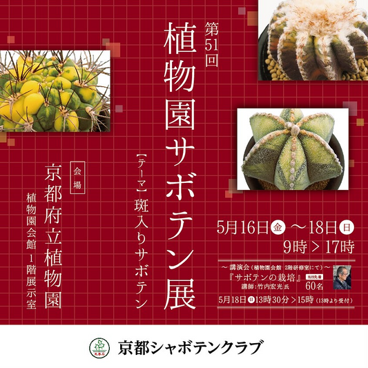 京都シャボテンクラブが第51回植物園サボテン展を開催、斑入りサボテンの展示と講演会が注目を集める