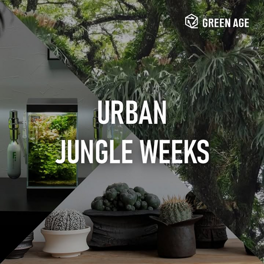 阪急うめだ本店がURBAN JUNGLE WEEKSを開催、都会で植物の癒しと魅力を体感できる期間限定イベント