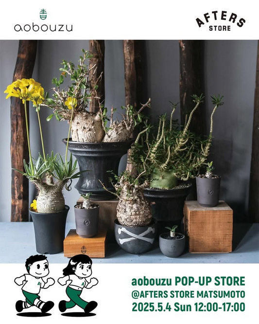aobouzuが松本市でPOP UP STOREを開催、コレクション級植物やソフビなど多彩な商品をゴールデンウィーク最終日に販売