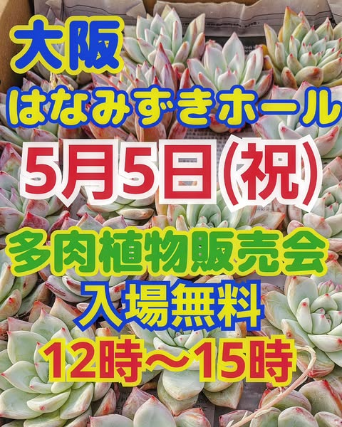 Lier.succulentが大阪はなみずきホールで多肉植物販売会を開催、ゴールデンウィークに入場無料で誰でも購入可能に