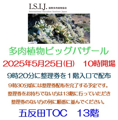 サボテン・多肉植物ビッグバザールが2025年5月に五反田TOCビルで開催、整理券システムで混雑緩和へ