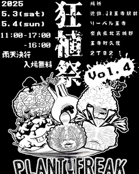 狂植祭vol.4が関西唯一の植物イベントとして開催、アガベや塊根植物など珍しい植物が勢揃い