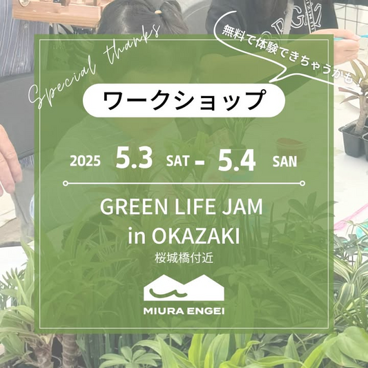 三浦園芸がGREEN LIFE JAM vol.3に出店、カラーサンドワークショップを各日先着30名に無料提供